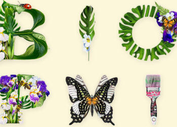 Festivalul de artă urbană „peWALL” revine la Constanța, cu tema BIOPHILIA