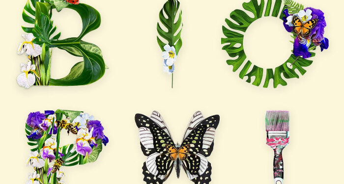 Festivalul de artă urbană „peWALL” revine la Constanța, cu tema BIOPHILIA