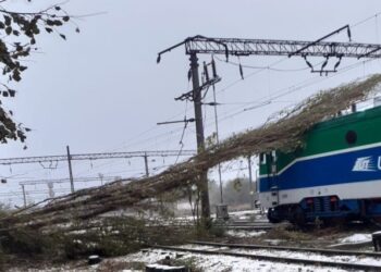Viscolul a făcut ravagii pe căile ferate din județul Constanța