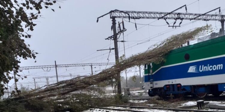 Viscolul a făcut ravagii pe căile ferate din județul Constanța