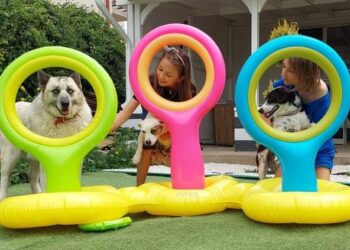 Adoptă un câine, salvează o viață!