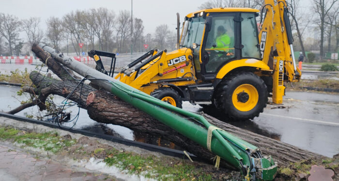 Încă 150 de arbori și 11 stâlpi de iluminat public au fost doborâți de vijelie în Constanța