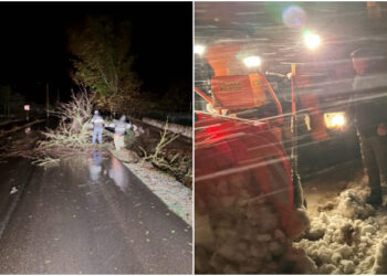 Angajați și utilaje ale Drumuri Județene Constanța au intervenit pentru îndepărtarea zăpezii și a arborilor de pe carosabil