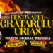 Festivalul Grătarului Uriaș la Medgidia, 16 – 19 noiembrie 2023