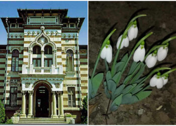 Muzeul de Artă Populară: Legenda ghiocelului