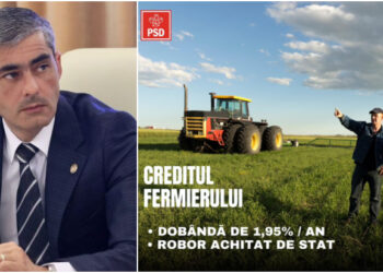 Lungoci (PSD): Guvernul a aprobat cel mai avantajos credit pentru fermieri