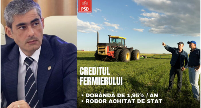 Lungoci (PSD): Guvernul a aprobat cel mai avantajos credit pentru fermieri