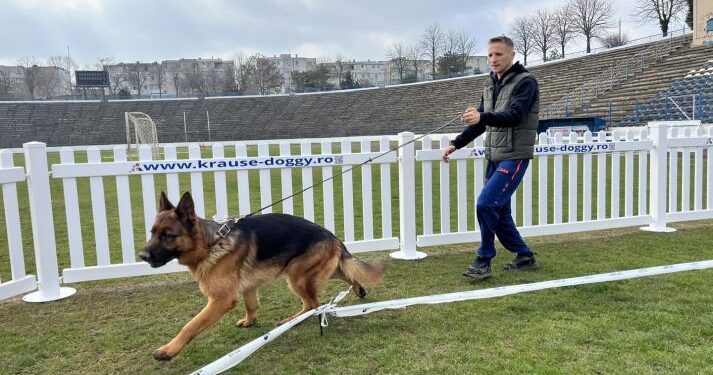 A doua ediție a “Concursului Internațional de Câini”, sâmbătă 16 martie, la Medgidia