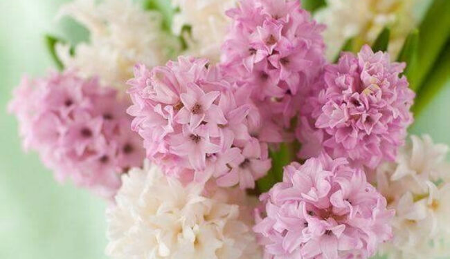 Un nou eveniment “Sănătatea și Frumusețe”, organizat de parteneriatul “LadyPrenor – Club de bune practici”