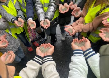 Împreună pentru un viitor mai verde: Elevii școlilor nr.8 și nr.30 din Constanța au vizitat stația Polaris de sortare și reciclare a deșeurilor