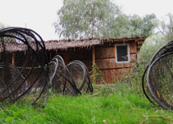 VEȘTI PROASTE pentru pescari, de la ARBDD: Începe prohibiția generală la pescuit!