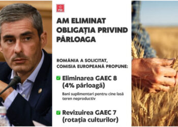 Lungoci (PSD): Am reușit, ÎMPREUNĂ, să schimbăm reguamentul european!