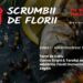 SCRUMBII DE FLORII, la Tulcea: Trei zile de răsfăț, cu toate bunătățile Dobrogei