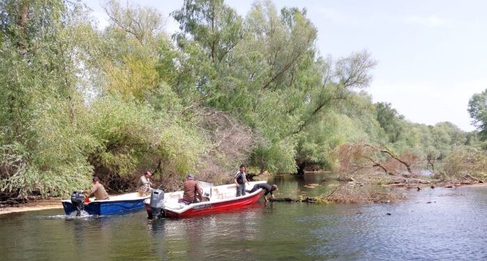 A început activitatea de vizare a permiselor de pescuit comercial în Delta Dunării