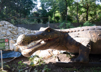 Litoralulromanesc.ro lansează campania “Mare pentru cei mici” dedicată copiilor, de la cazare și mese gratuite la intrări în parcul de distracții Jurasica Neptun