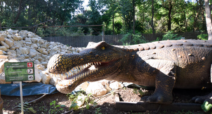 Litoralulromanesc.ro lansează campania “Mare pentru cei mici” dedicată copiilor, de la cazare și mese gratuite la intrări în parcul de distracții Jurasica Neptun