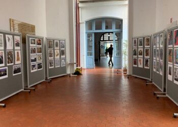 Studenții Facultății de Arte de la Universitatea Ovidius expun la Lisabona, în cadrul unui proiect coordonat de Conf. Univ. Dr. Lelia Rus Pîrvan