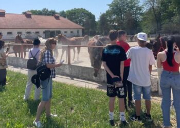 Copiii din Centrul de plasament „Delfinul”, răsfățați de rotarienii de pe Litoral în „Grădina copilăriei”