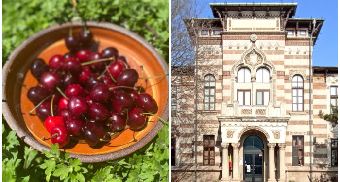 Tradiții și credințe populare de Rusalii și Moșii de Vară