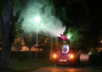 Campanie de dezinsecție în municipiul Medgidia și zonele limitrofe, între 15 – 17 iulie