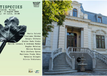 Casa Avramide găzduiește expoziția MULTISPECIES, o explorare a relației dintre natură, arte vizuale și ecologie