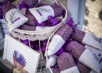 LAVANDA FEST ajunge pentru prima dată la Constanța
