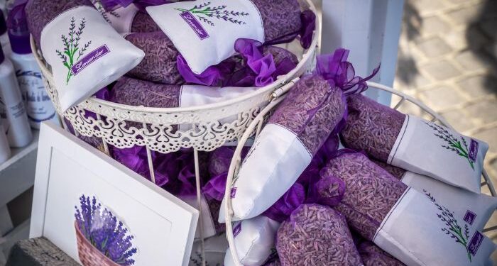 LAVANDA FEST ajunge pentru prima dată la Constanța