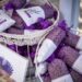LAVANDA FEST ajunge pentru prima dată la Constanța