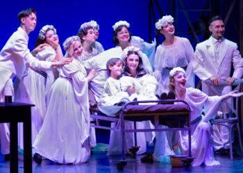 SEAS 2024 – „Piciul”, un musical al Teatrului „Regina Maria” din Oradea, la Teatrul de Vară Soveja