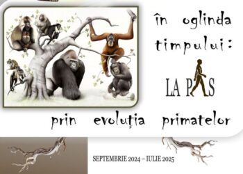 „ÎN OGLINDA TIMPULUI. LA PAS PRIN EVOLUȚIA PRIMATELOR” – O fascinantă expoziție deschisă la Centrul Muzeal Eco-Turistic „Delta Dunării”