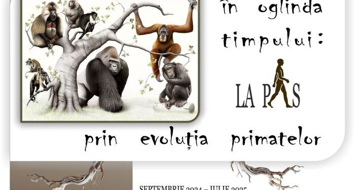 „ÎN OGLINDA TIMPULUI. LA PAS PRIN EVOLUȚIA PRIMATELOR” – O fascinantă expoziție deschisă la Centrul Muzeal Eco-Turistic „Delta Dunării”