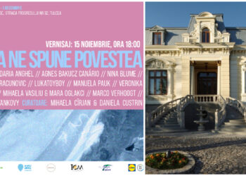 APA NE SPUNE POVESTEA – Expoziție despre ecologie și artă, la Casa Avramide Tulcea