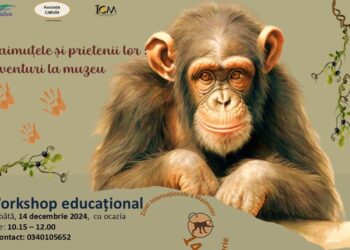 „Maimuțele și prietenii lor: Aventuri la muzeu” – Workshop educațional pentru copii, la Tulcea