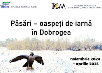 Expoziția ”Păsări – oaspeți de iarnă în Dobrogea”, la Centrul Muzeal Eco-turistic Delta Dunării