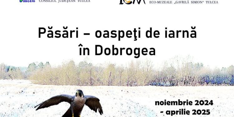 Expoziția ”Păsări – oaspeți de iarnă în Dobrogea”, la Centrul Muzeal Eco-turistic Delta Dunării