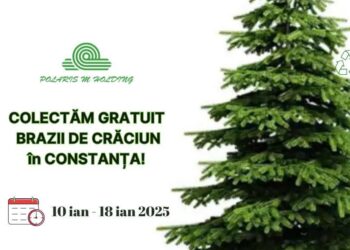 Polaris colectează gratuit brazii de Crăciun, în Constanța!