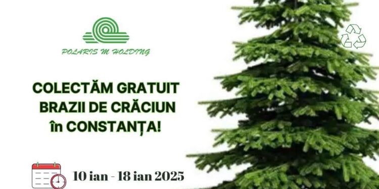 Polaris colectează gratuit brazii de Crăciun, în Constanța!
