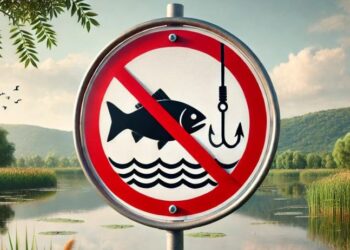 Delta Dunării: Pescuitul la știucă, INTERZIS până pe 20 martie