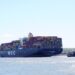 MSC – Mediterranean Shipping Company recrutează ofițeri punte și mașină, femei și bărbați