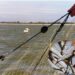 Atenție, pescari! Pe 31 martie începe prohibiția la scrumbie, în Delta Dunării