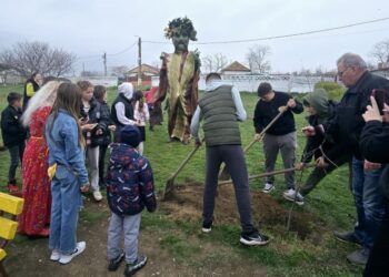 Membrii Clubului Rotary Cetatea Tomis au plantat 145 copaci la școlile din comuna Mihail Kogălniceanu