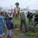 Membrii Clubului Rotary Cetatea Tomis au plantat 145 copaci la școlile din comuna Mihail Kogălniceanu