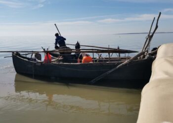 Delta Dunării: Pescuitul la șalău și biban, INTERZIS până pe 7 iunie