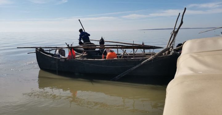 Delta Dunării: Pescuitul la șalău și biban, INTERZIS până pe 7 iunie