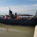 Delta Dunării: Pescuitul la șalău și biban, INTERZIS până pe 7 iunie