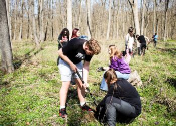 Polaris – partenerul studenților, într-o demonstrație pro-natură la Comana