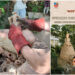 ARDERI ARHAICE: Experiment spectaculos cu artă ceramică în spațiul Uniunii Artiștilor Plastici, Filiala Constanța Unu
