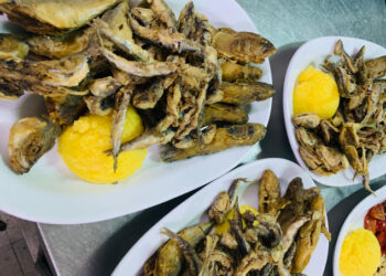 Muzică populară și bunătăți dobrogene la Festivalul Tradițiilor și Gastronomiei Pescărești, 30 mai – 1 iunie