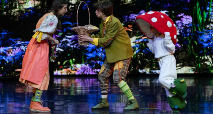 SEAS 2025: Spectacol FABULOS, la Casa de Cultură – HANSEL ȘI GRETEL, sâmbătă, 2 august