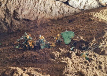 Descoperire ARHEOLOGICĂ EXCEPȚIONALĂ la Mangalia: Podoabe de aur, sticlă și bronz într-un mormânt ANTIC al unei familii bogate de greci